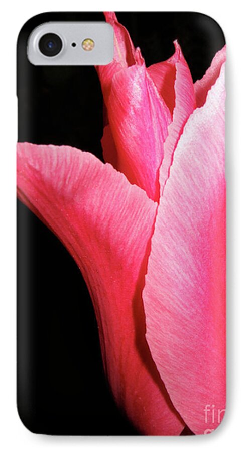 Vibrant iPhone 7 Case featuring the photograph Big Vibrant Pink Tulip Against on black by Linda Matlow