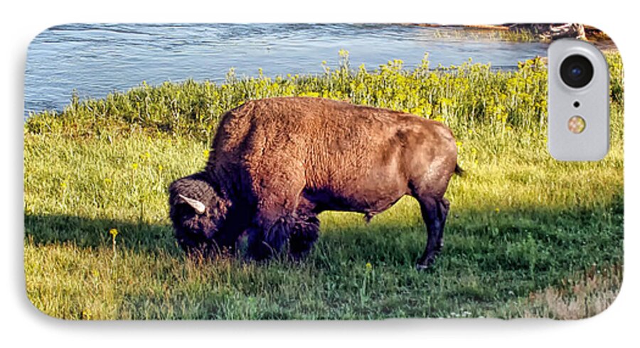 Bison iPhone 7 Case featuring the photograph Bison 4 by Dawn Eshelman