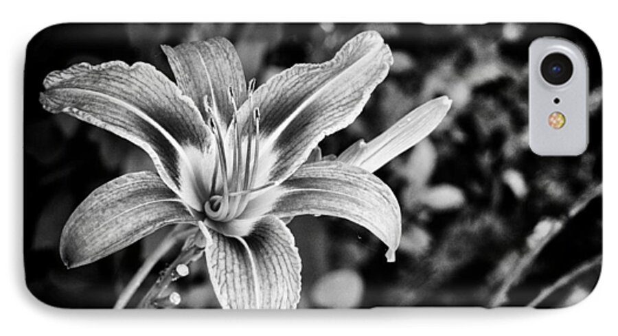 Mason Neck iPhone 7 Case featuring the photograph Black and White Lily by Bradley Clay
