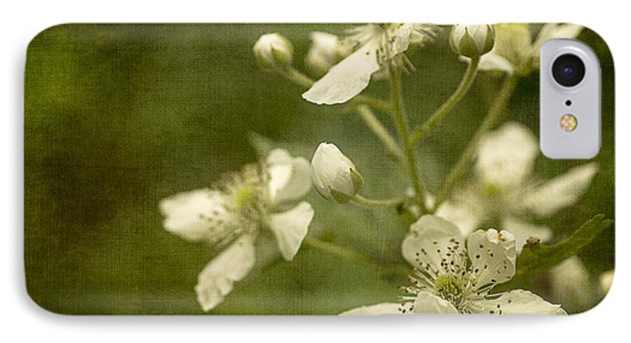 Spring iPhone 7 Case featuring the photograph Blackberry Flowers with Textures by Wayne Meyer