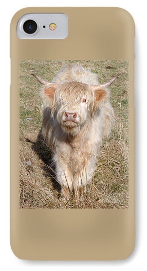 Highland Cow iPhone 7 Case featuring the photograph Blonde Highlander by Phil Banks