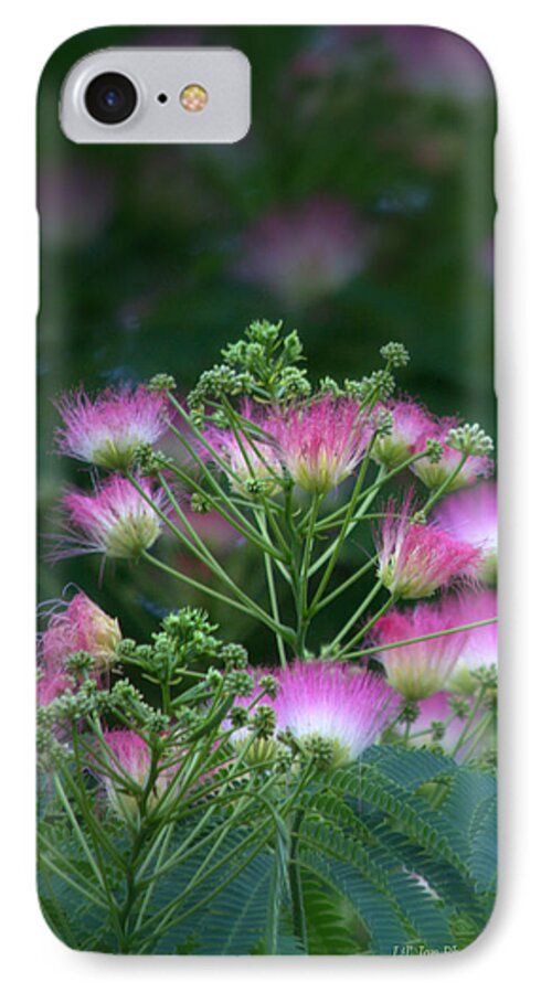 Tree iPhone 7 Case featuring the photograph Blooms Of The Mimosa Tree by Jeanette C Landstrom
