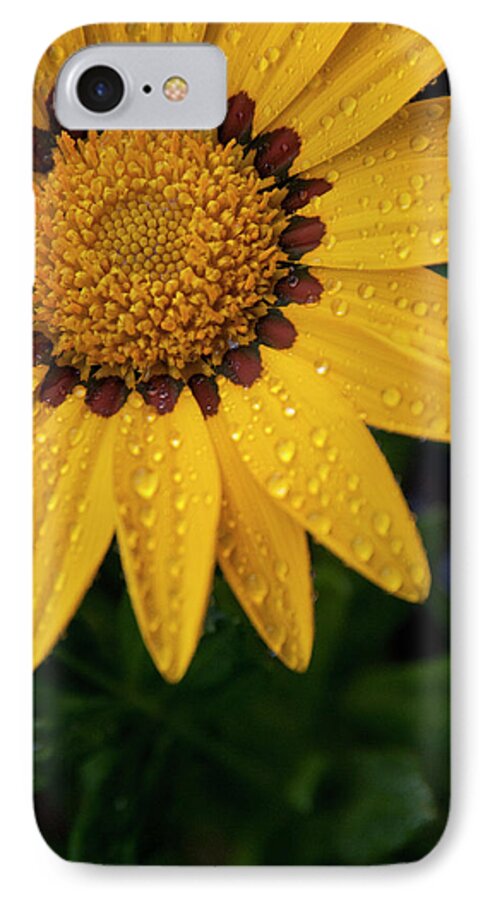 Yellow Flower iPhone 7 Case featuring the photograph Blossom by Ron White