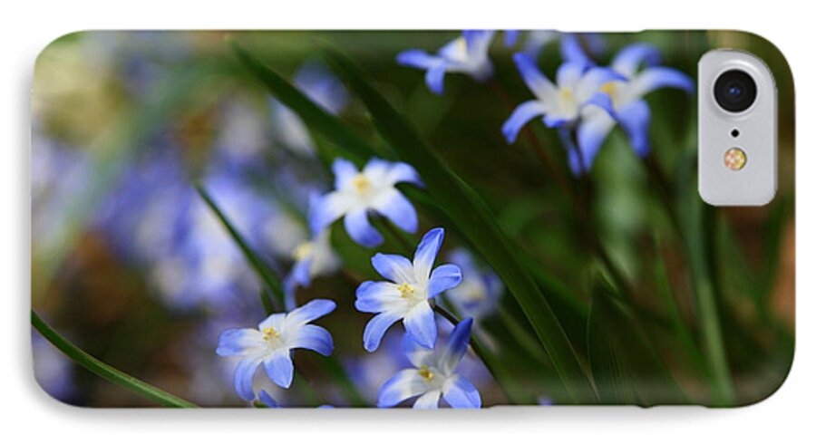 Blue Wildflowers iPhone 7 Case featuring the photograph Blue For You by Neal Eslinger
