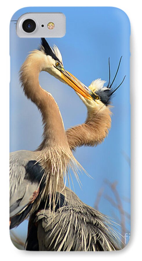 Great iPhone 7 Case featuring the photograph Blue Heron Love by Jane Axman