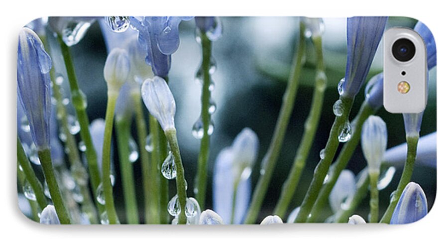 Flower iPhone 7 Case featuring the photograph Blue Water Drops -3 by Haleh Mahbod