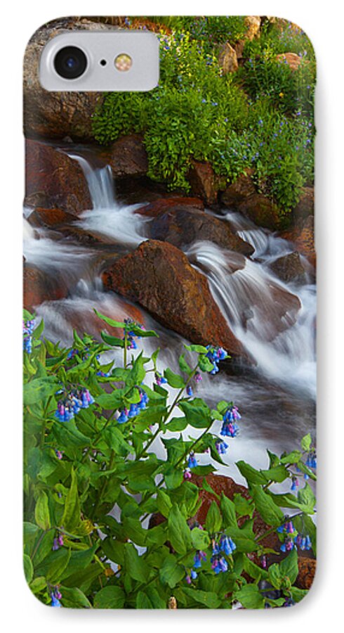 Stream iPhone 7 Case featuring the photograph Bluebell Creek by Darren White