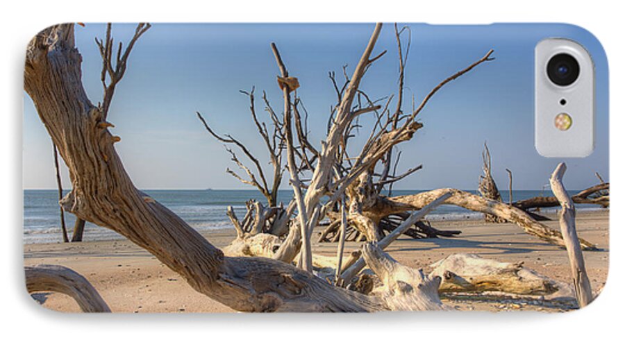 Botany Bay Plantation iPhone 7 Case featuring the photograph Boneyard Beach by Patricia Schaefer