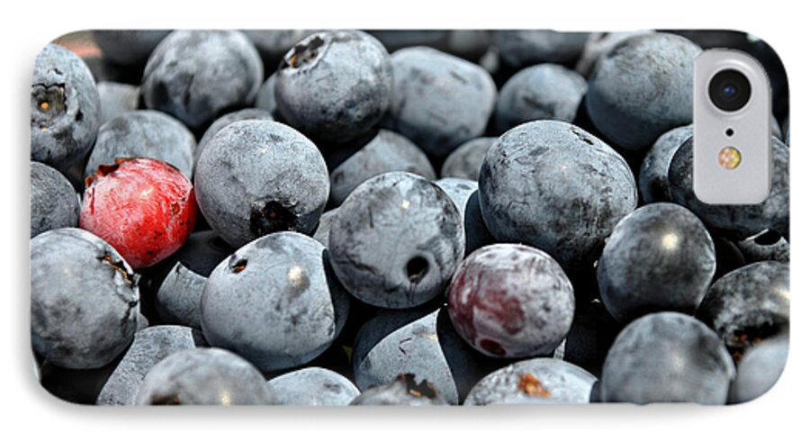 Blueberries iPhone 7 Case featuring the photograph Bountiful Blueberries by Kelly Nowak