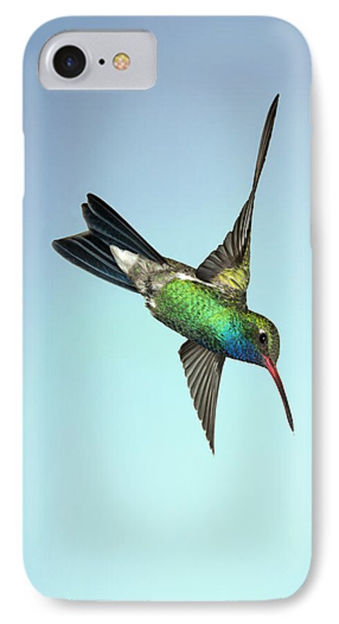 Arizona iPhone 7 Case featuring the photograph Broadbilled Hummingbird - Phone Case Design by Gregory Scott