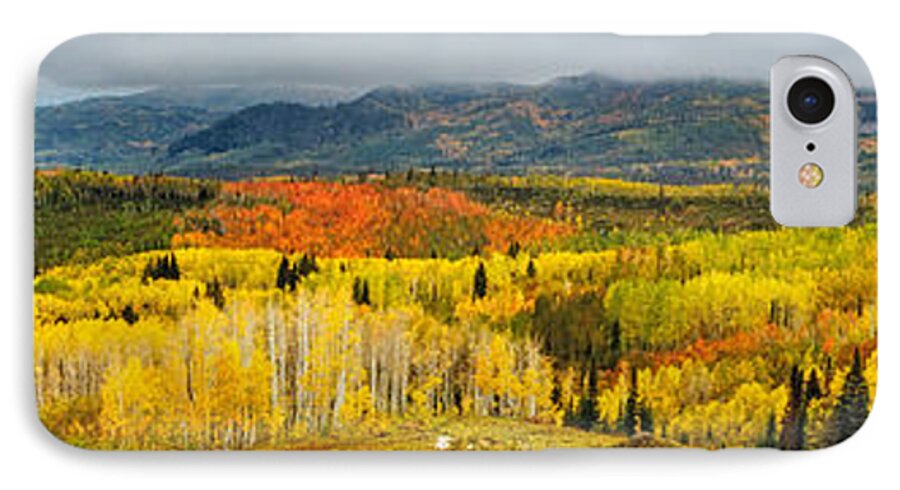 Aspen Trees iPhone 7 Case featuring the photograph Buffalo Pass Steamboat Springs CO by Teri Virbickis