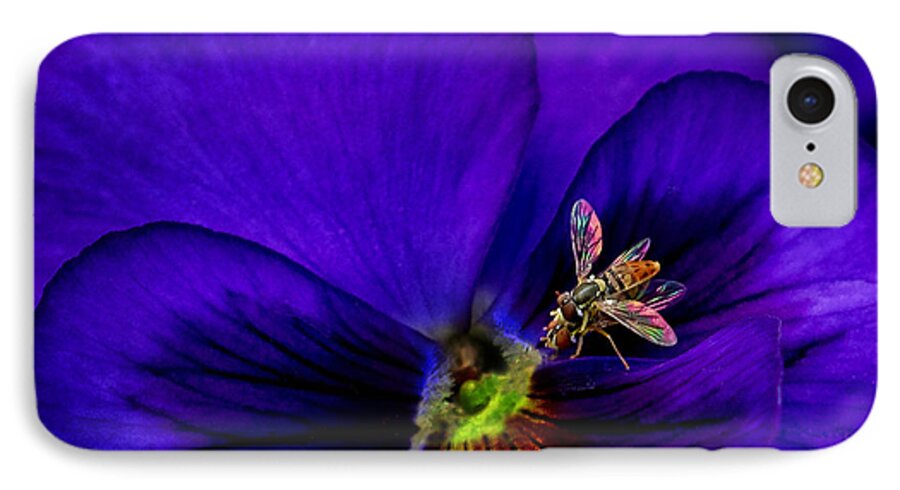 Pansy iPhone 7 Case featuring the photograph Bugs on Pansy by Jamieson Brown