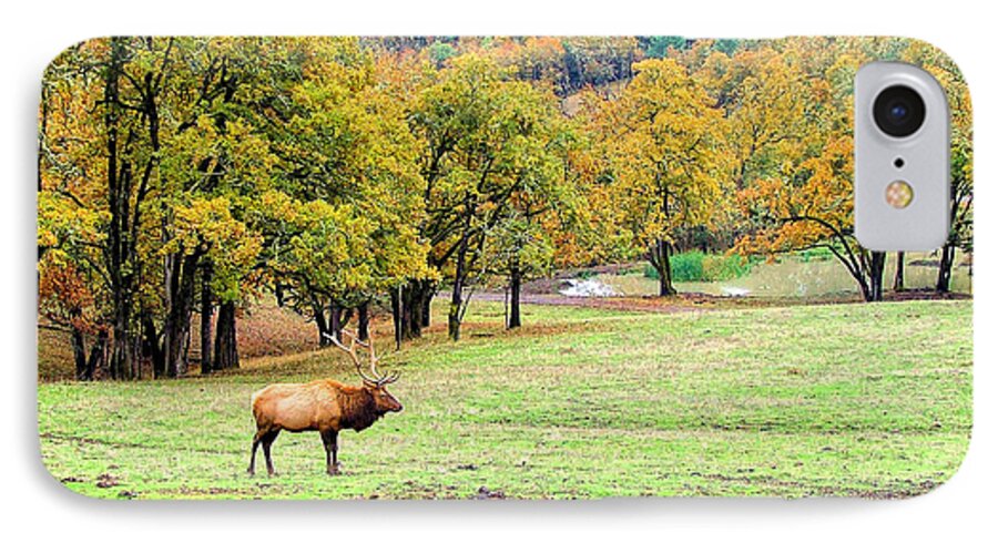 Elk Canvas Prints iPhone 7 Case featuring the photograph Bull Elk by Wendy McKennon