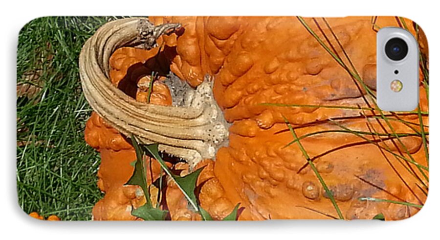 Pumpkin iPhone 7 Case featuring the photograph Bumpy and Beautiful by Caryl J Bohn