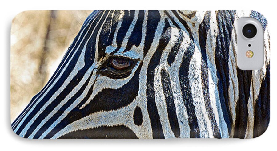 Burchell's Zebra's Face In Kruger National Park iPhone 7 Case featuring the photograph Burchell's Zebra's Face in Kruger National Park-South Africa by Ruth Hager