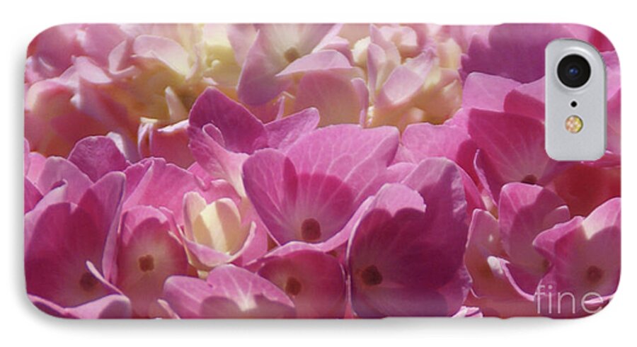 Hydrangea iPhone 7 Case featuring the photograph Buttercream by Linda Shafer