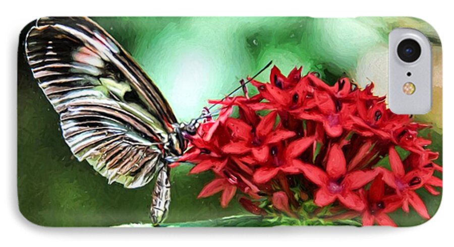 Butterfly iPhone 7 Case featuring the photograph Butterfly by Bill Howard