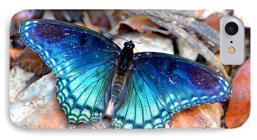 Butterfly iPhone 7 Case featuring the photograph Butterfly Blue by Deena Stoddard