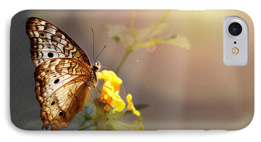 Butterfly iPhone 7 Case featuring the photograph Butterfly Glow by Judy Vincent