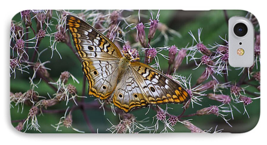 Il iPhone 7 Case featuring the photograph Butterfly Soft Landing by Thomas Woolworth