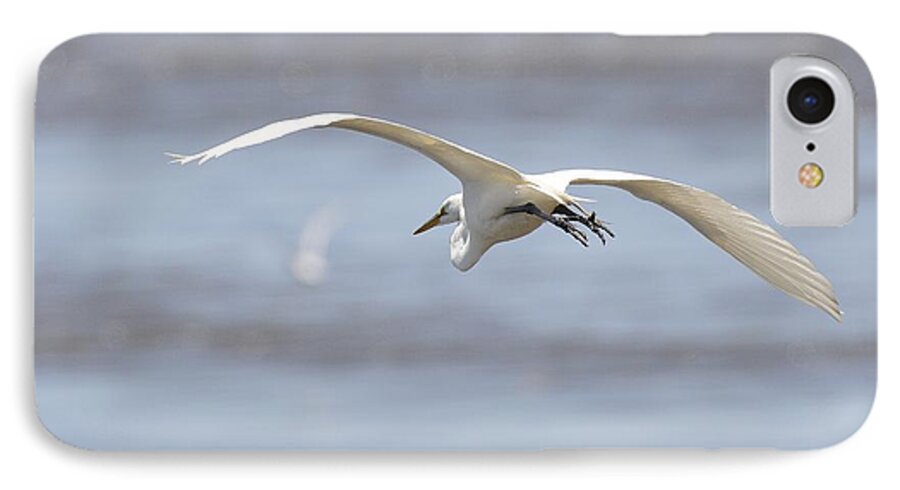 Bird iPhone 7 Case featuring the photograph Bye Bye Egret by Harold Piskiel