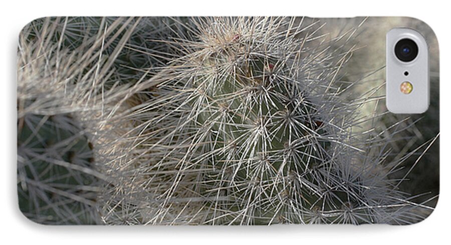  iPhone 7 Case featuring the photograph Cactus 12 by Cheryl Boyer