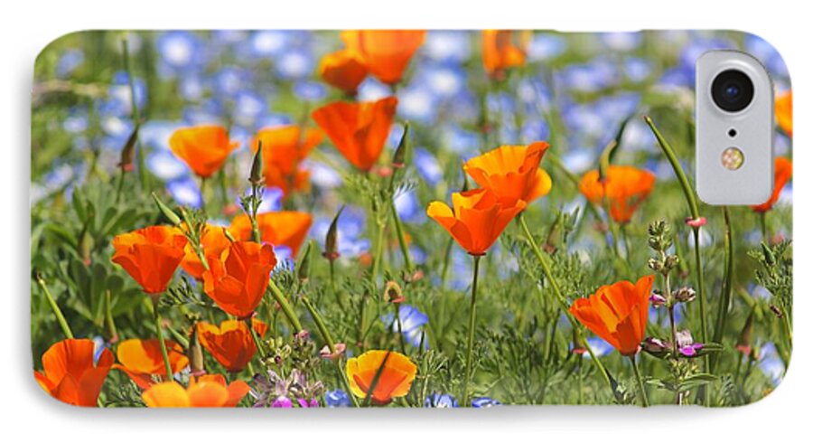 California Poppy iPhone 7 Case featuring the photograph California Poppy field by Liz Vernand
