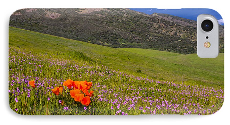 Landscape iPhone 7 Case featuring the photograph California Wildflowers by Marc Crumpler
