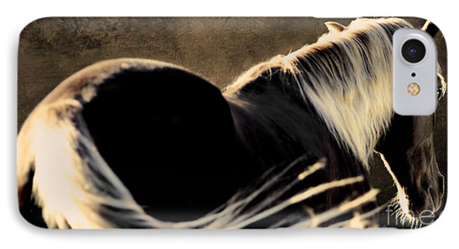 Animal iPhone 7 Case featuring the photograph Calm Awareness 1 Vignette by Michelle Twohig
