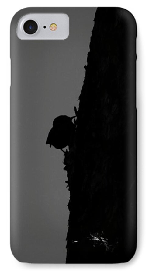 Graphic Art iPhone 7 Case featuring the photograph Can You See It by Tom DiFrancesca