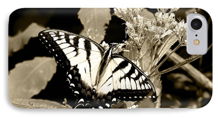Butterfly iPhone 7 Case featuring the photograph Canadian Tiger Swallowtail in Sepia by Corinne Elizabeth Cowherd