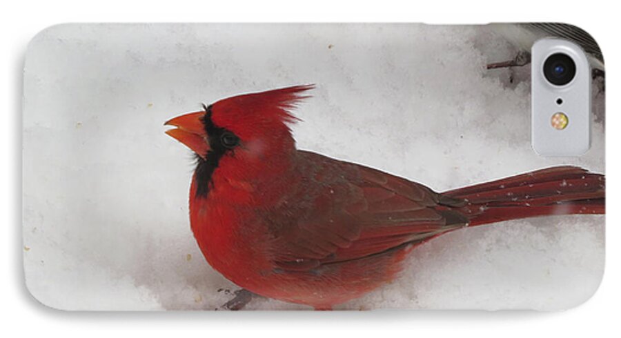 Cardinal iPhone 7 Case featuring the photograph Cardinal in Snow by Linda L Martin
