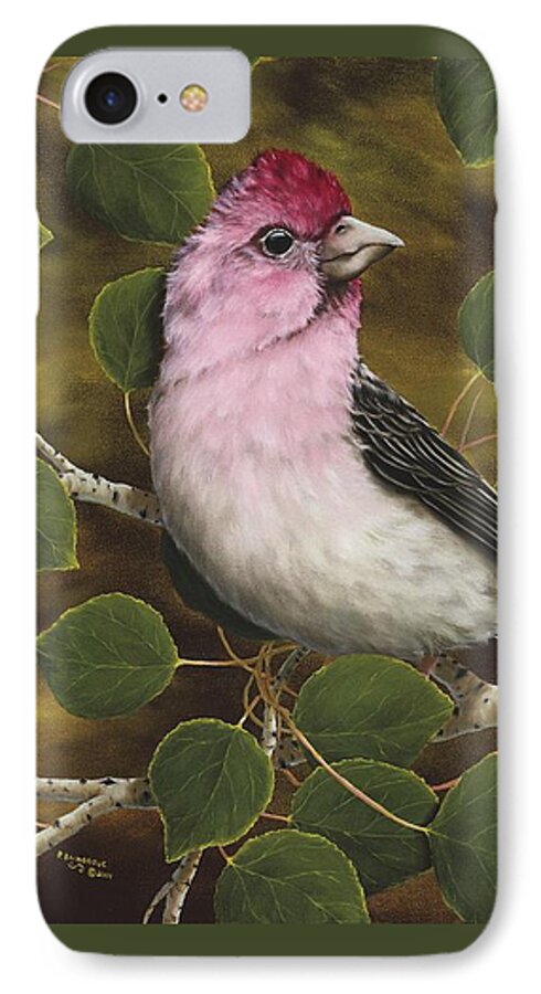 Animals iPhone 7 Case featuring the painting Cassins Finch by Rick Bainbridge