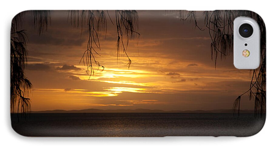 Tree iPhone 7 Case featuring the photograph Casuarina Sunset 2 by Carole Hinding