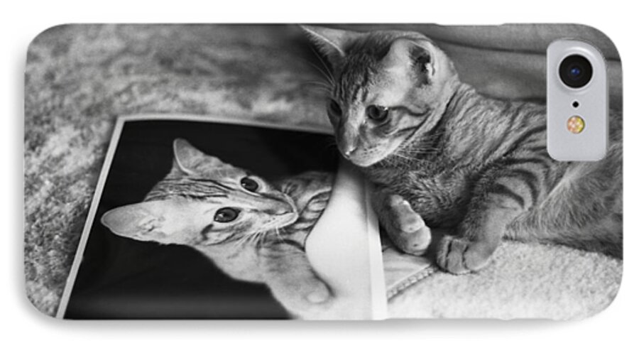 Feline iPhone 7 Case featuring the photograph Cat Vanity by Ray Congrove