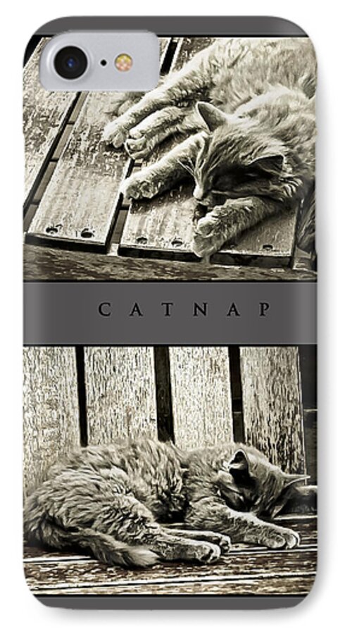 Catnap iPhone 7 Case featuring the photograph Catnap by Greg Jackson