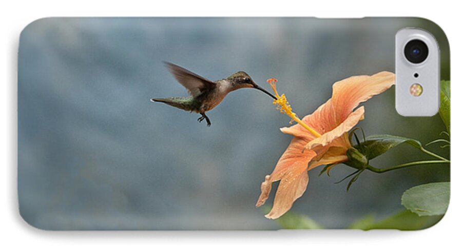 Hummingbirds iPhone 7 Case featuring the photograph Caught in the Act by Robert Camp