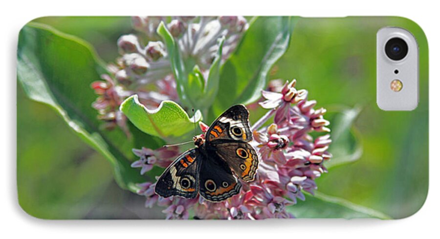 Butterfly In Chisholm Park; Butterfly; Butterflies; Monarch; The Great Outdoors; Great Plains Nature Center In Wichita; Chisolm Park In Wichita; Nature; Plants; Butterflies In The Garden; Center Of Attention; Beauty;  iPhone 7 Case featuring the photograph Center of attention by Betty Morgan