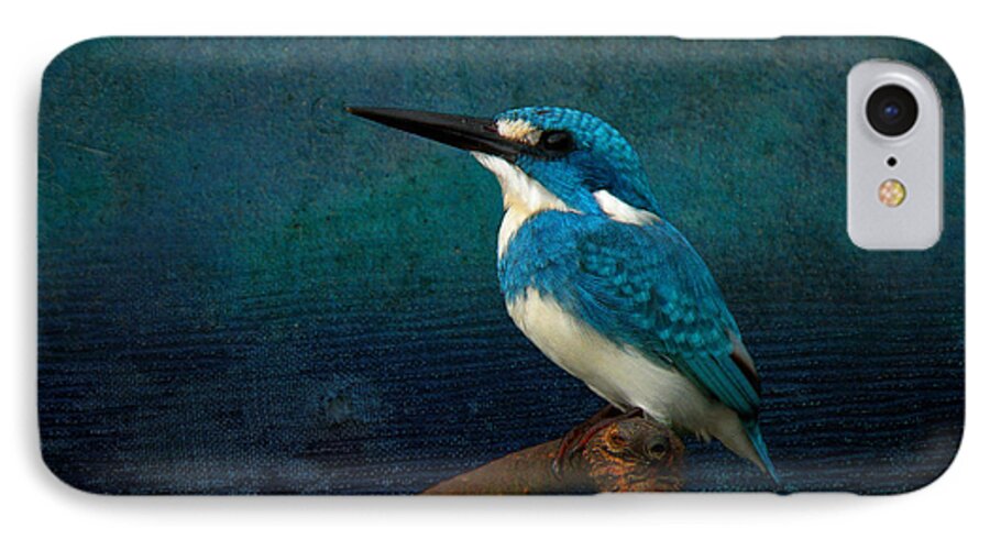 Cerulean Kingfisher iPhone 7 Case featuring the photograph Cerulean Kingfisher blue Alcedo coerulescens by Perry Van Munster