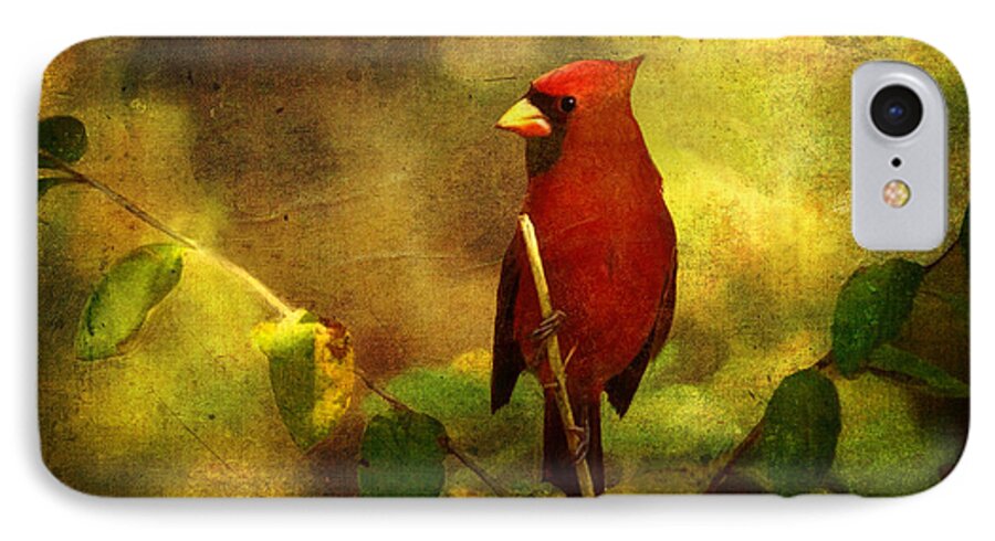 Cardinal iPhone 7 Case featuring the digital art Cheery Red Cardinal by Lianne Schneider