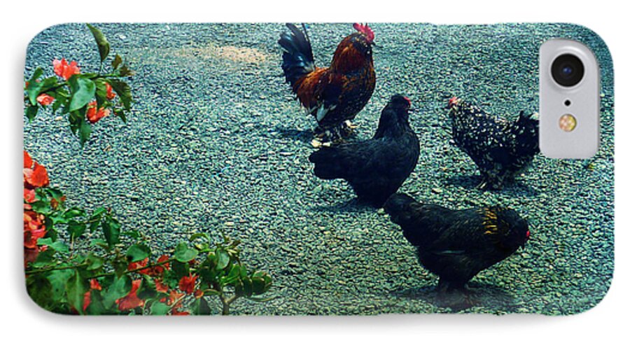 Chickens iPhone 7 Case featuring the photograph Chooks by Therese Alcorn