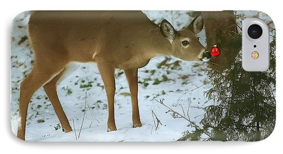 Whitetail Deer iPhone 7 Case featuring the photograph Christmas Doe by Clare VanderVeen