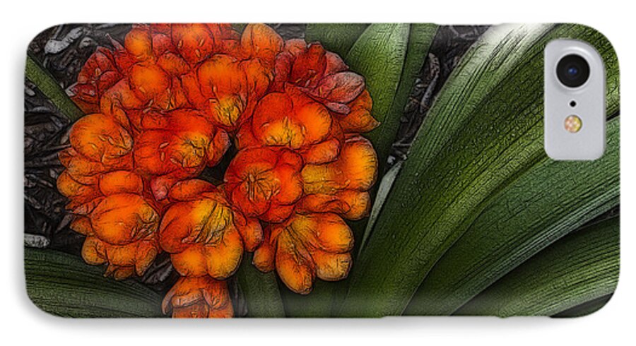 Clivia Flowers iPhone 7 Case featuring the digital art Clivia by Photographic Art by Russel Ray Photos