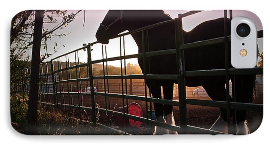 Sunrise With Horse iPhone 7 Case featuring the photograph Clydesdale Dawn by Gus McCrea