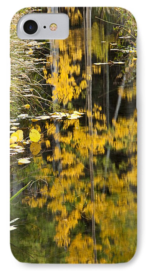 Aspen iPhone 7 Case featuring the photograph Colorado Changing Five by Eric Rundle