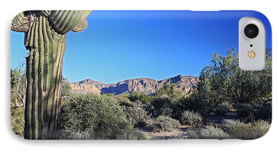 Cactus iPhone 7 Case featuring the photograph Comfortable Evening by Gary Kaylor