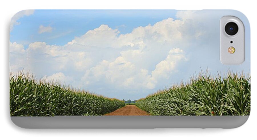 Corn iPhone 7 Case featuring the photograph Corn Crops of MS by Karen Wagner