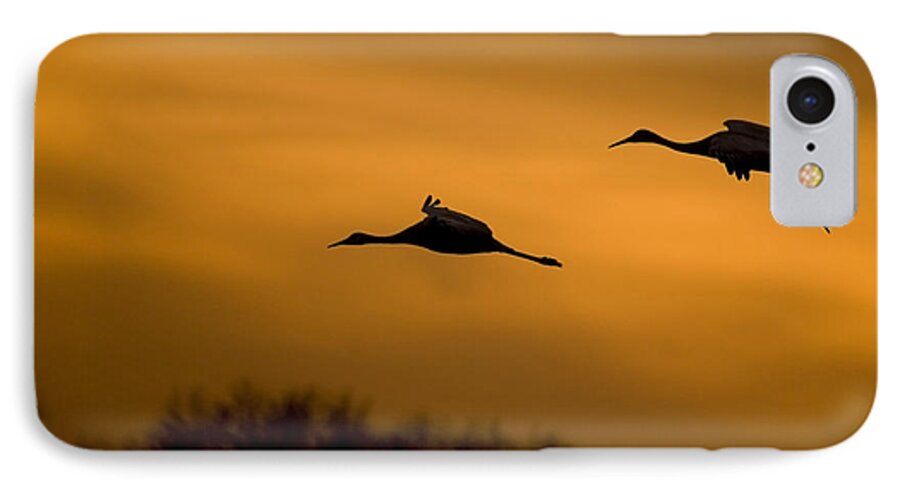 Autumn iPhone 7 Case featuring the photograph Cranes at Sunset by Larry Bohlin