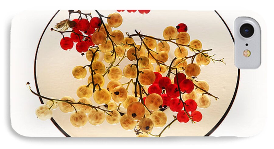 Berry iPhone 7 Case featuring the photograph Currants on a plate by Vitaliy Gladkiy