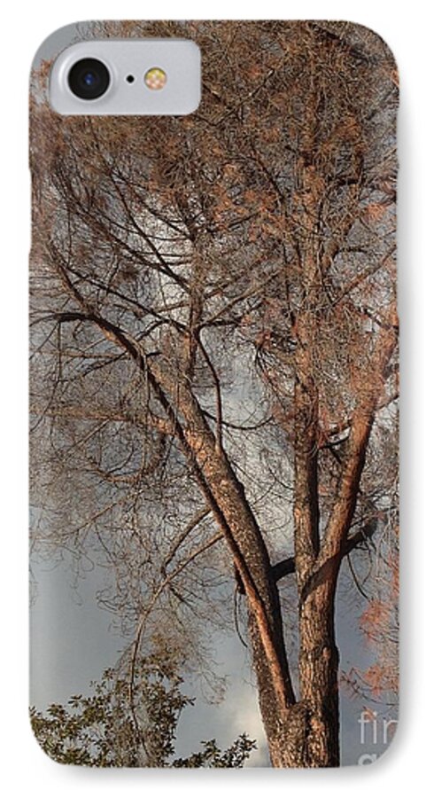  iPhone 7 Case featuring the photograph Curtsy III by Nora Boghossian